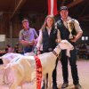 Landes-Jungzüchterschau der Schafe und Ziegen 2022